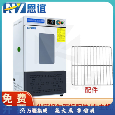 恩谊 生化培养箱恒温恒湿试验箱箱霉菌细菌微生物培养箱实验室 SPX生化培养箱 隔板