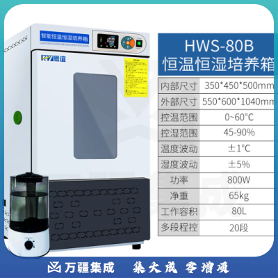 恩谊 生化培养箱恒温恒湿试验箱箱霉菌细菌微生物培养箱实验室 HWS恒温恒湿箱 80升