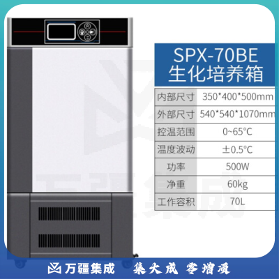 恩谊 生化培养箱恒温恒湿试验箱箱霉菌细菌微生物培养箱实验室 SPX生化培养箱 升级款70升