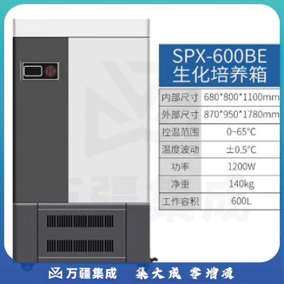 恩谊 生化培养箱恒温恒湿试验箱箱霉菌细菌微生物培养箱实验室 SPX生化培养箱 升级款600升