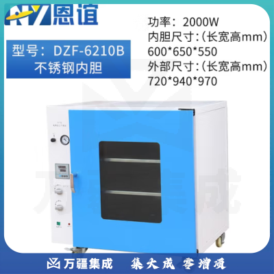 恩谊 电热恒温真空干燥箱工业真空烘箱除泡脱泡机消泡箱实验室 DZF-6210B
