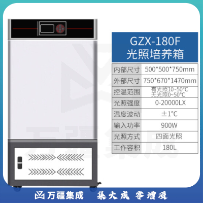 恩谊 人工气候培养箱实验室植物种子催芽发芽箱恒温光照培养箱 GZP光照培养箱 强光照180升