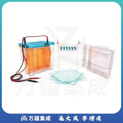 JISENPUER北京六一DYCZ-26C型双向电泳仪 DYCZ-26C