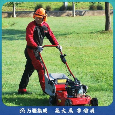 凯姿/KAZZ 凯姿 KZ536HH 手推式除草机 割草机 草坪机 农林牧渔专用仪器