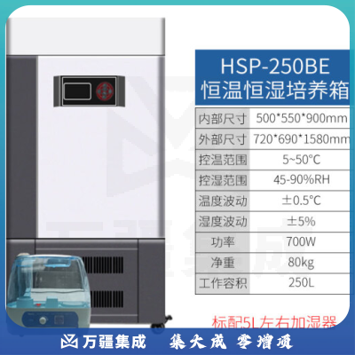 恩谊 生化培养箱恒温恒湿试验箱箱霉菌细菌微生物培养箱实验室 HWS恒温恒湿箱 升级款250升