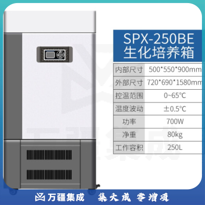恩谊 生化培养箱恒温恒湿试验箱箱霉菌细菌微生物培养箱实验室 SPX生化培养箱 升级款250升