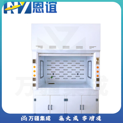 恩谊 PP通风柜实验室PP药品柜通风橱化验室整体柜