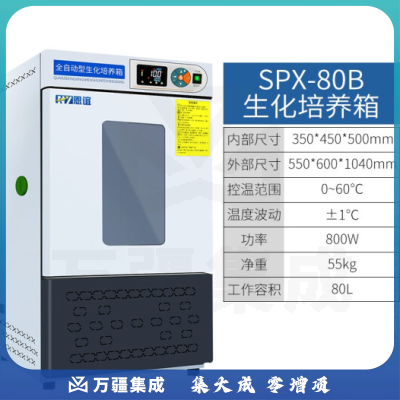 恩谊 生化培养箱恒温恒湿试验箱箱霉菌细菌微生物培养箱实验室 SPX生化培养箱 80升