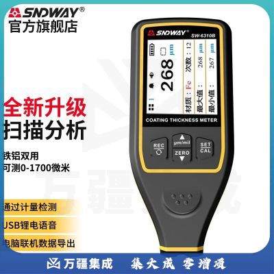 深达威漆膜仪漆面检测仪汽车二手车厚度高精度测漆仪涂层测厚仪SW-6310B