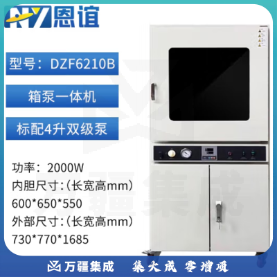 恩谊 电热恒温真空干燥箱工业真空烘箱除泡脱泡机消泡箱实验室 DZF-6210B一体机