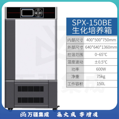 恩谊 生化培养箱恒温恒湿试验箱箱霉菌细菌微生物培养箱实验室 SPX生化培养箱 升级款150升
