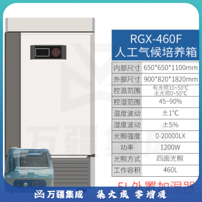 恩谊 人工气候培养箱实验室植物种子催芽发芽箱恒温光照培养箱 GZP光照培养箱 强光照460升