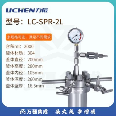 力辰科技（lichen）不锈钢简易高压反应釜实验室耐高温抗高氧台式微型反应釜 LC-SPR-2L