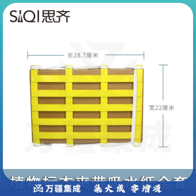 思齐（SiQi）塑料标本夹23*29.5cm 树叶压花自制材料学生用手工制作工具
