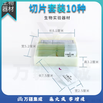思齐（SiQi）动植物切片标本 10片