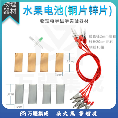 思齐（SiQi）水果电池（双头鳄鱼夹导线） 水果电池实验装置可乐发电源电池材料包物理发电实验器材