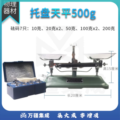 思齐（SiQi）托盘天平500g 学生实验天平称初高中物理化学实验器材