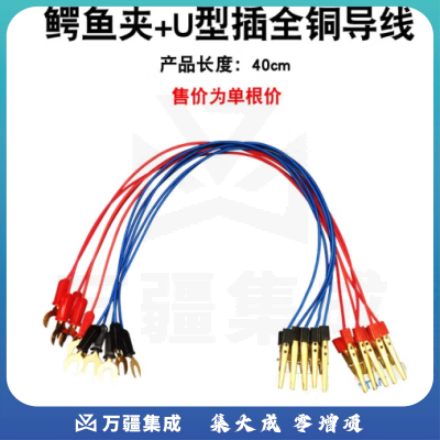 思齐（SiQi）鳄鱼夹+U型鱼叉（全铜单根） 导线全铜铁质连接线中小学物理实验电学电路教具教学仪器