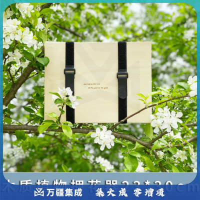 思齐（SiQi）木质植物押花器23*30cm 树叶压花自制材料学生用手工制作工具