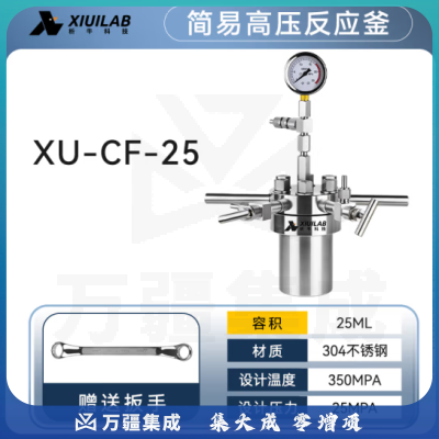 析牛科技 简易高压反应釜实验室微型不锈钢耐高温腐蚀 XU-CF-25不锈钢304
