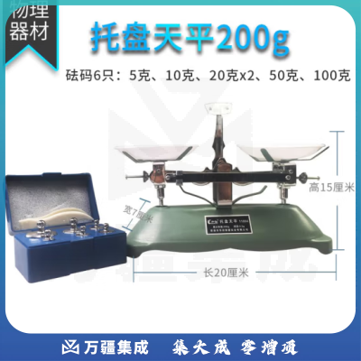 思齐（SiQi）托盘天平200g 学生实验天平称初高中物理化学实验器材