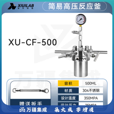 析牛科技 简易高压反应釜实验室微型不锈钢耐高温腐蚀 XU-CF-500不锈钢304