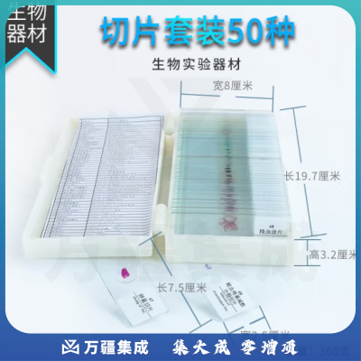 思齐（SiQi）动植物切片标本 50片