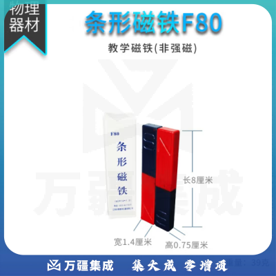 思齐（SiQi）条形磁铁 F80（一对） 磁铁教具吸铁石教学实验器材
