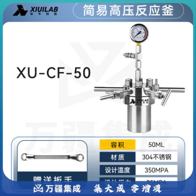 析牛科技 简易高压反应釜实验室微型不锈钢耐高温腐蚀 XU-CF-50不锈钢304