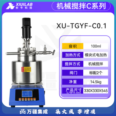 析牛科技 磁力搅拌高压反应釜实验室机械高压釜高温氢化釜 XU-TGYF-C0.1