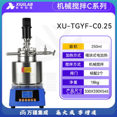 析牛科技 磁力搅拌高压反应釜实验室机械高压釜高温氢化釜 XU-TGYF-C0.25