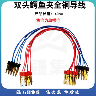 思齐（SiQi）双头鳄鱼夹（全铜单根） 导线全铜铁质连接线中小学物理实验电学电路教具教学仪器