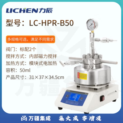 力辰科技（lichen）磁力搅拌高压反应釜 实验室不锈钢电动机械搅拌反应釜 LC-HPR-B50