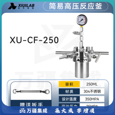析牛科技 简易高压反应釜实验室微型不锈钢耐高温腐蚀 XU-CF-250不锈钢304