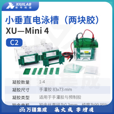 析牛科技 电泳槽琼脂糖水平垂直电泳仪电源凝胶实验室 小垂直两块胶XU-Mini4