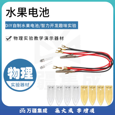 思齐（SiQi）水果电池（插销式铜片锌片） 水果电池实验装置可乐发电源电池材料包物理发电实验器材