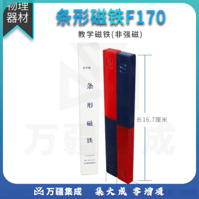 思齐（SiQi）条形磁铁 F170（一对） 磁铁教具吸铁石教学实验器材