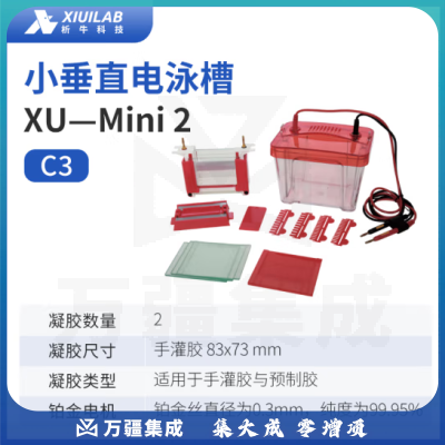 析牛科技 电泳槽琼脂糖水平垂直电泳仪电源凝胶实验室 小垂直XU—Mini2