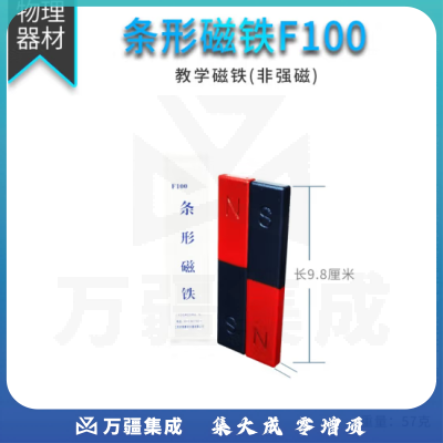 思齐（SiQi）条形磁铁 F100（一对） 磁铁教具吸铁石教学实验器材