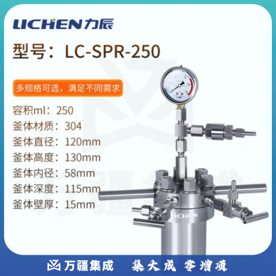 力辰科技（lichen）不锈钢简易高压反应釜实验室耐高温抗高氧台式微型反应釜 LC-SPR-250