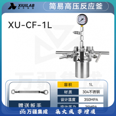 析牛科技 简易高压反应釜实验室微型不锈钢耐高温腐蚀 XU-CF-1L不锈钢304