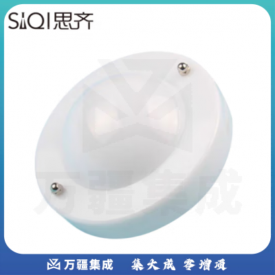 思齐（SiQi）人体导电球验电器 人体验电球探究实验人体导线球小学科学科普教具