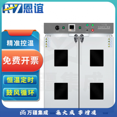 恩谊 电热恒温鼓风干燥箱实验室药材食品烘干老化试验工业烤箱 镀锌内胆 DGF-5内部100*100*120cm