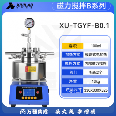 析牛科技 磁力搅拌高压反应釜实验室机械高压釜高温氢化釜 XU-TGYF-B0.1