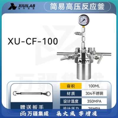 析牛科技 简易高压反应釜实验室微型不锈钢耐高温腐蚀 XU-CF-100不锈钢304