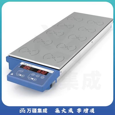 JISENPUER德国IKA RO 5多点磁力搅拌器多工位搅拌机 RO 10多工位（10点）