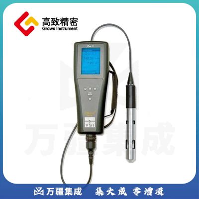 YSI Pro20i溶解氧测量仪 溶解氧仪 溶解氧检测仪 溶解氧仪 YSI Pro20i 溶解氧仪