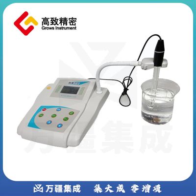 DWS-51型钠离子浓度计 实验室钠离子计 数显钠离子测量仪 DWS-51