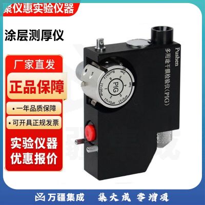 上海普申PIG多用途干膜测厚仪木头塑料涂层厚度测量仪