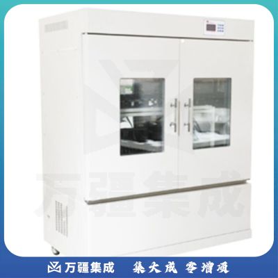 JISENPUER上海博迅BSD-YX2200立式双层智能精密